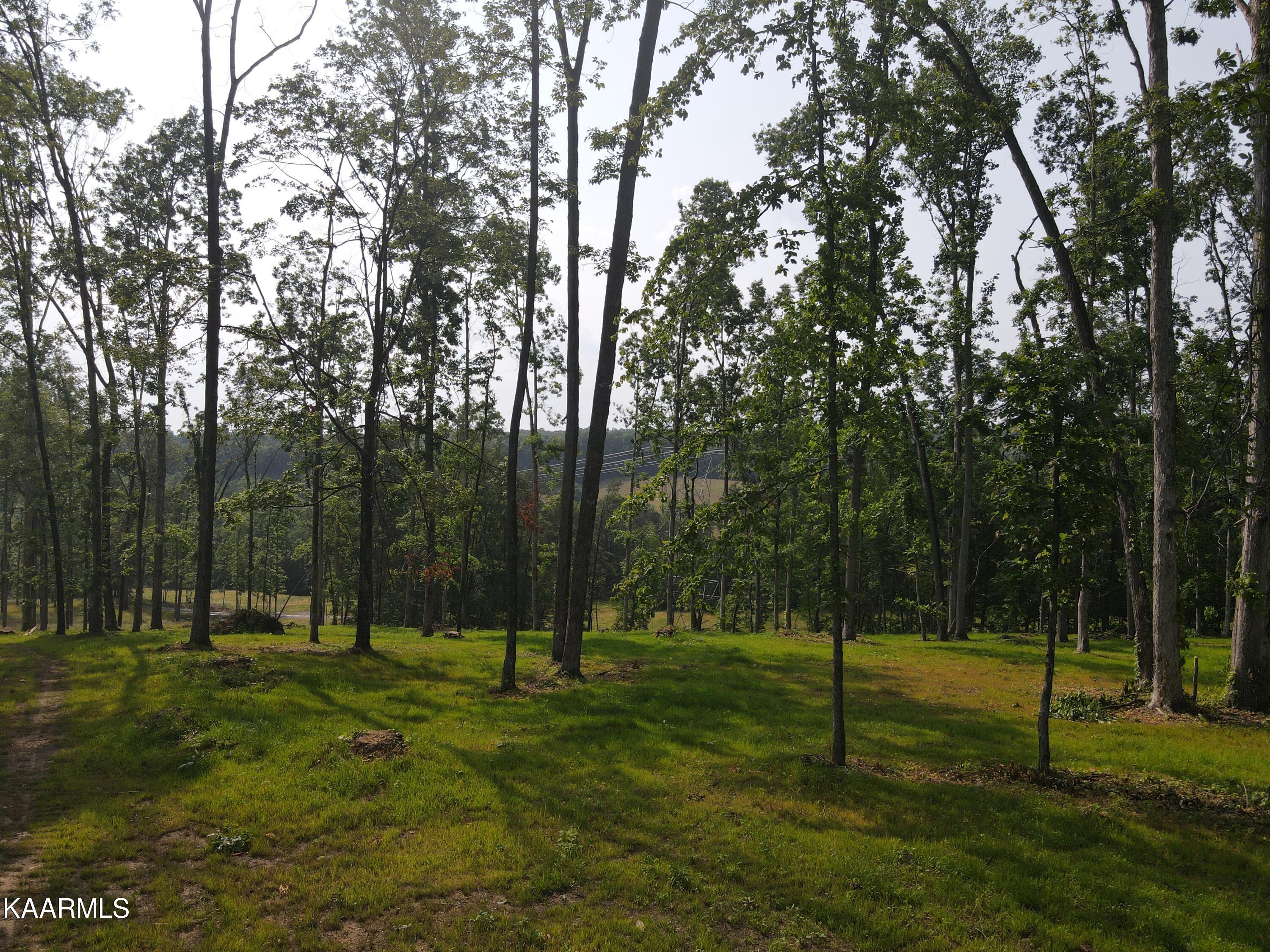333 Hughes Hollow Road Philadelphia, TN 37846 - Photo 9 of 57 Build Site 5