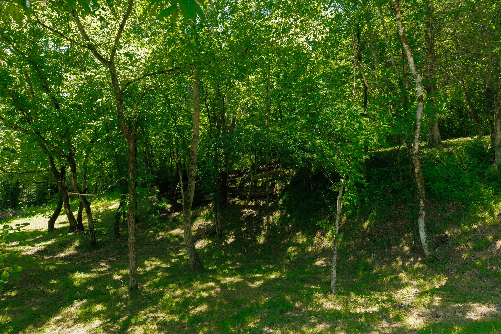 2022 Southport Road Culleoka, TN 38451 - Photo 52 of 71