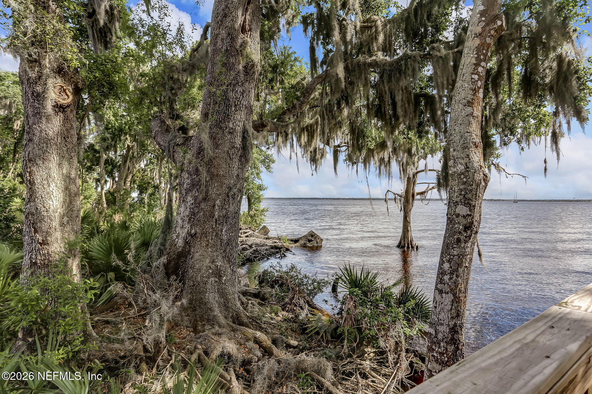 225 Cloverbrook Road St. Johns, FL 32259 - Photo 94 of 129 94-web-or-mls-Rivertown Hi-Res-13