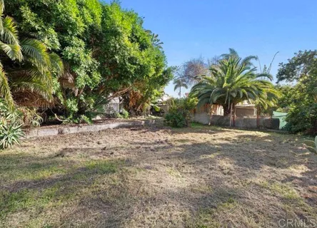 a view of a yard with a tree