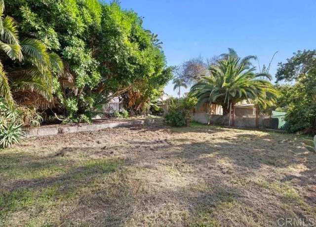 a view of a yard with a tree