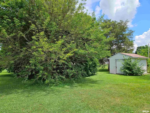 a view of a backyard with potted plants and large trees