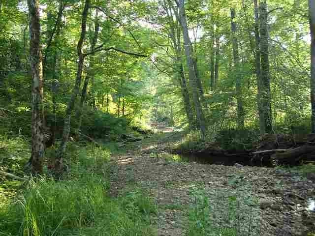 0 Hadley Cohron Road Bowling Green, KY 42101 - Photo 6 of 14 Gallery Image 6