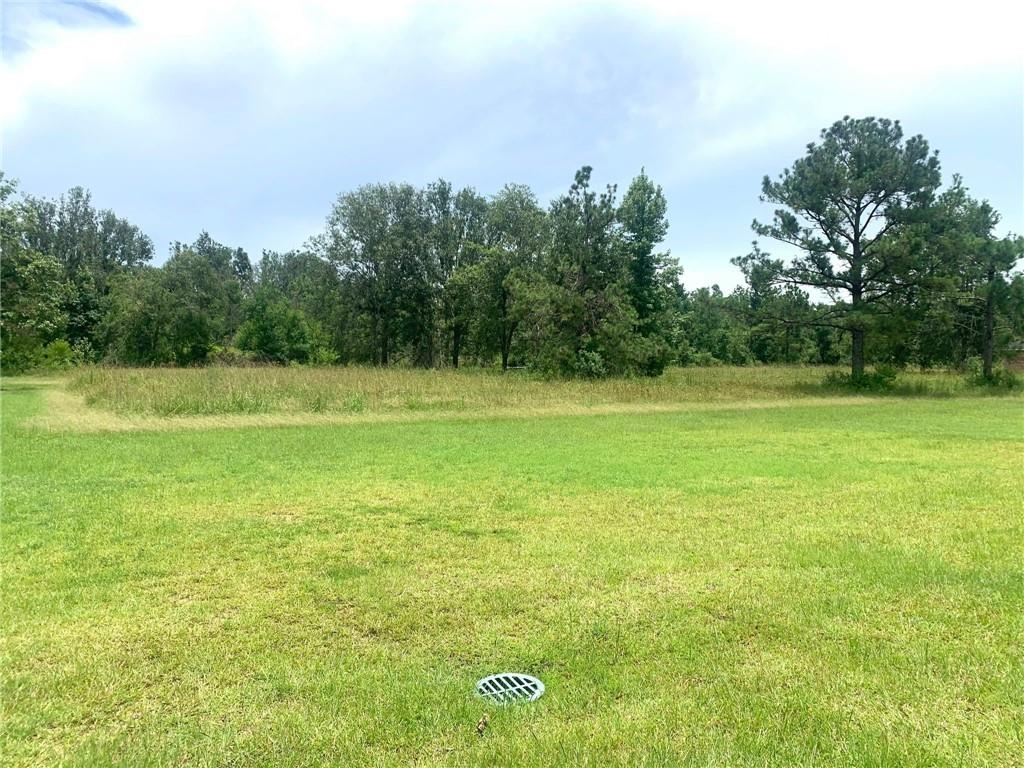 Ridgeway Drive Ragley, LA 70657 - Photo 5 of 5