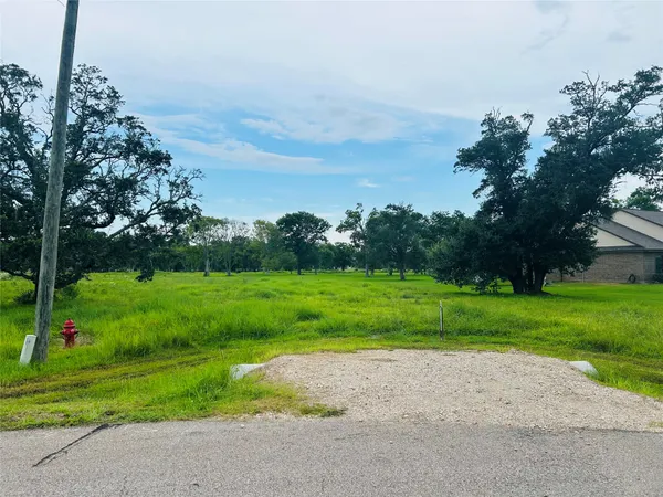 a view of yard with grass and trees