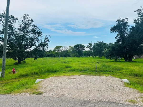 a view of grassy field with trees