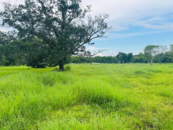 a view of a grassy field with trees in the background
