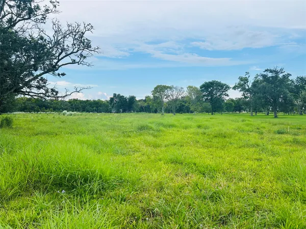 a view of a dry yard with a tree