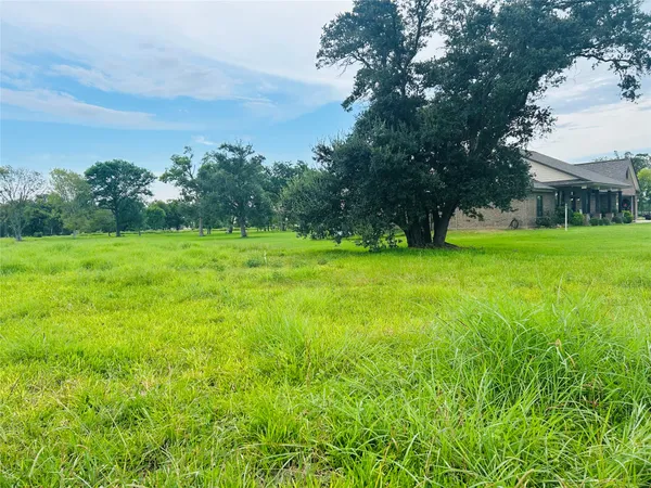 a view of grassy field with trees