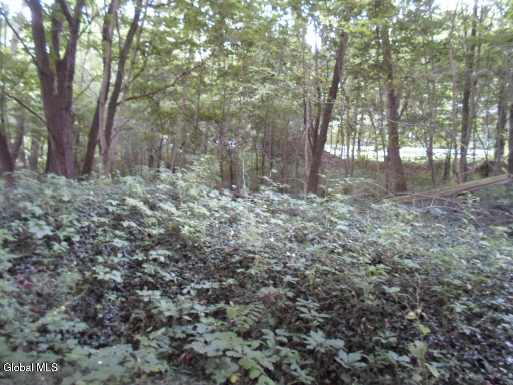 1 Crawford Road Rotterdam, NY 12306 - Photo 9 of 12 SAM_0198