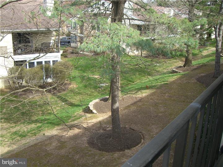 168 Valley Stream Circle Chesterbrook, PA 19087 - Photo 22 of 25 View in Back