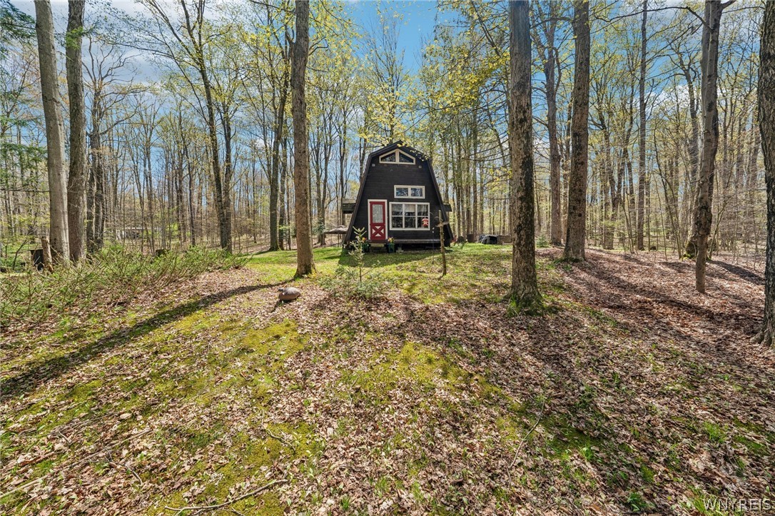 3890 Weber Road Orangeville, NY 14569 - Photo 30 of 40