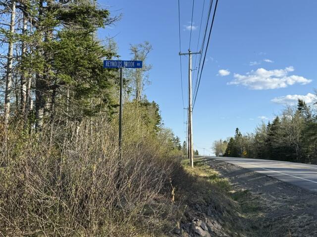 Lot 009 Off Of Reynolds Brook Road Whiting, ME 04691 - Photo 16 of 17 IMG_9983 (1)