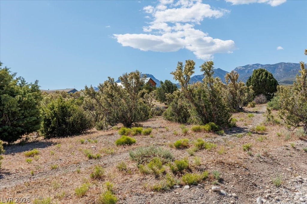 52 Birch Spring Cold Creek, NV 89124 - Photo 4 of 43 Sweeping mountain views, paved road access, and an outdoor lifestyle with ponds, creeks, wildlife, trails, and the Bonanza Trailhead just 10 minutes away.