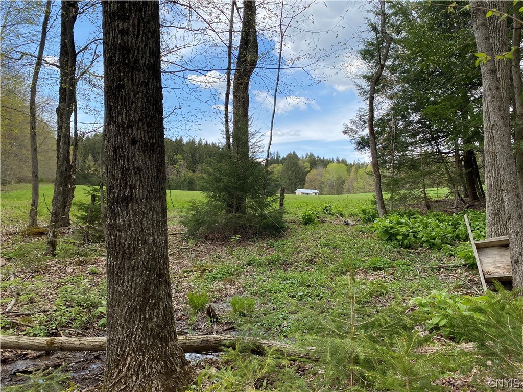 - Murray Road North Pitcher, NY 13124 - Photo 11 of 23 Gallery Image 11