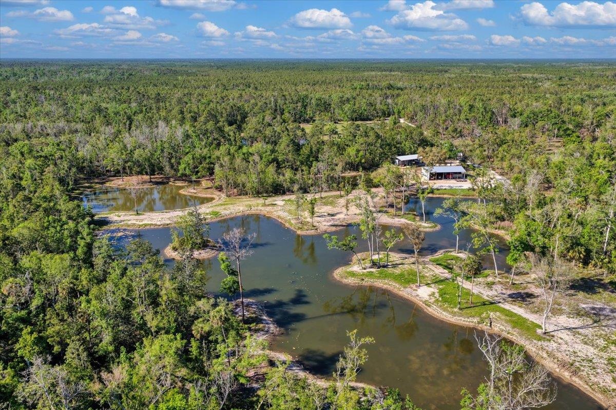 0 Northwest Roys Road Steinhatchee, FL 32359 - Photo 60 of 70