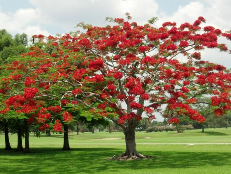 9179 Southeast Riverfront Terrace, Unit F Jupiter, FL 33469 - Photo 44 of 50 a front view of a multi story building
