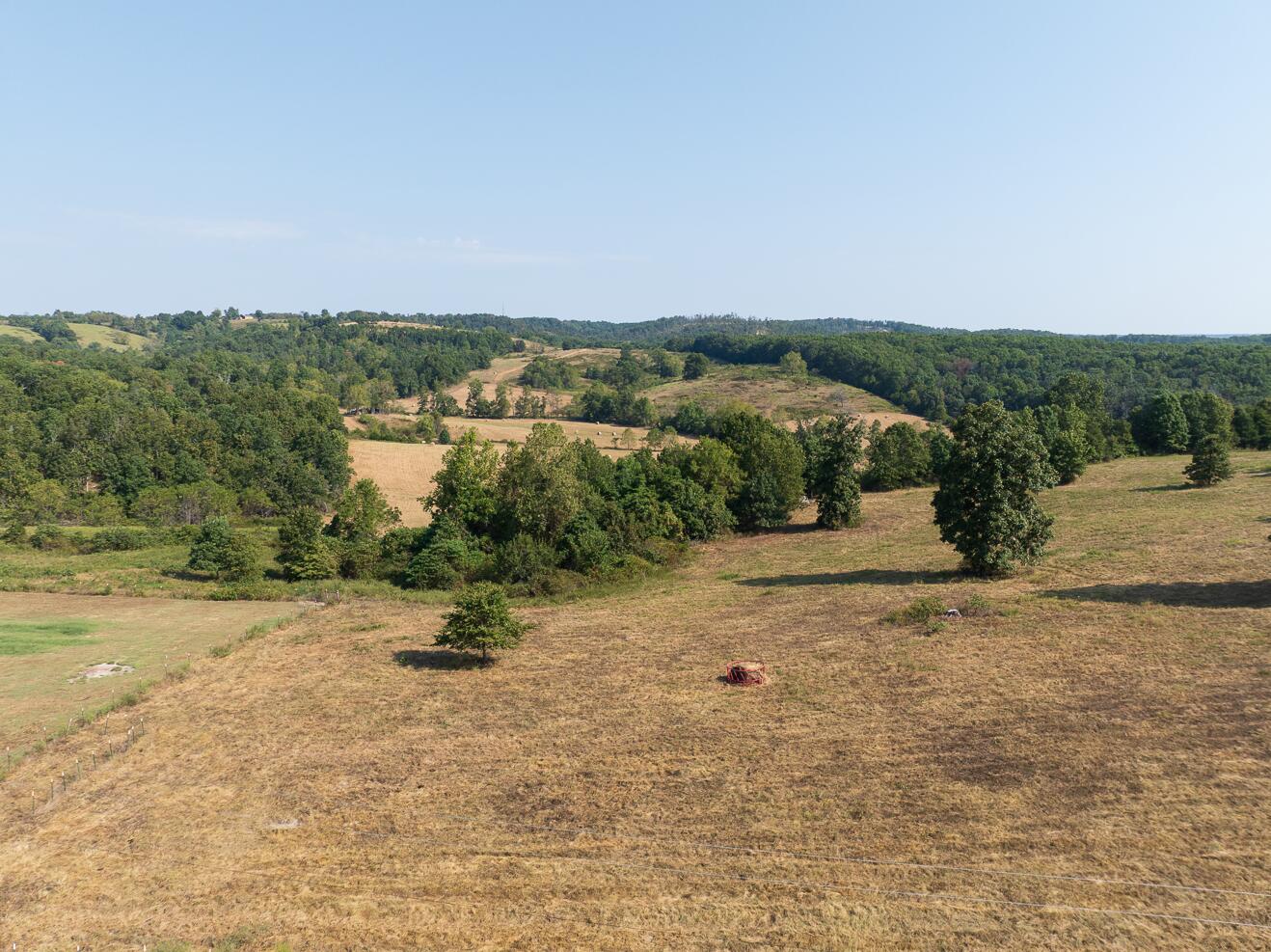 7 Route Ava, MO 65608 - Photo 99 of 111 Upper Pasture & View