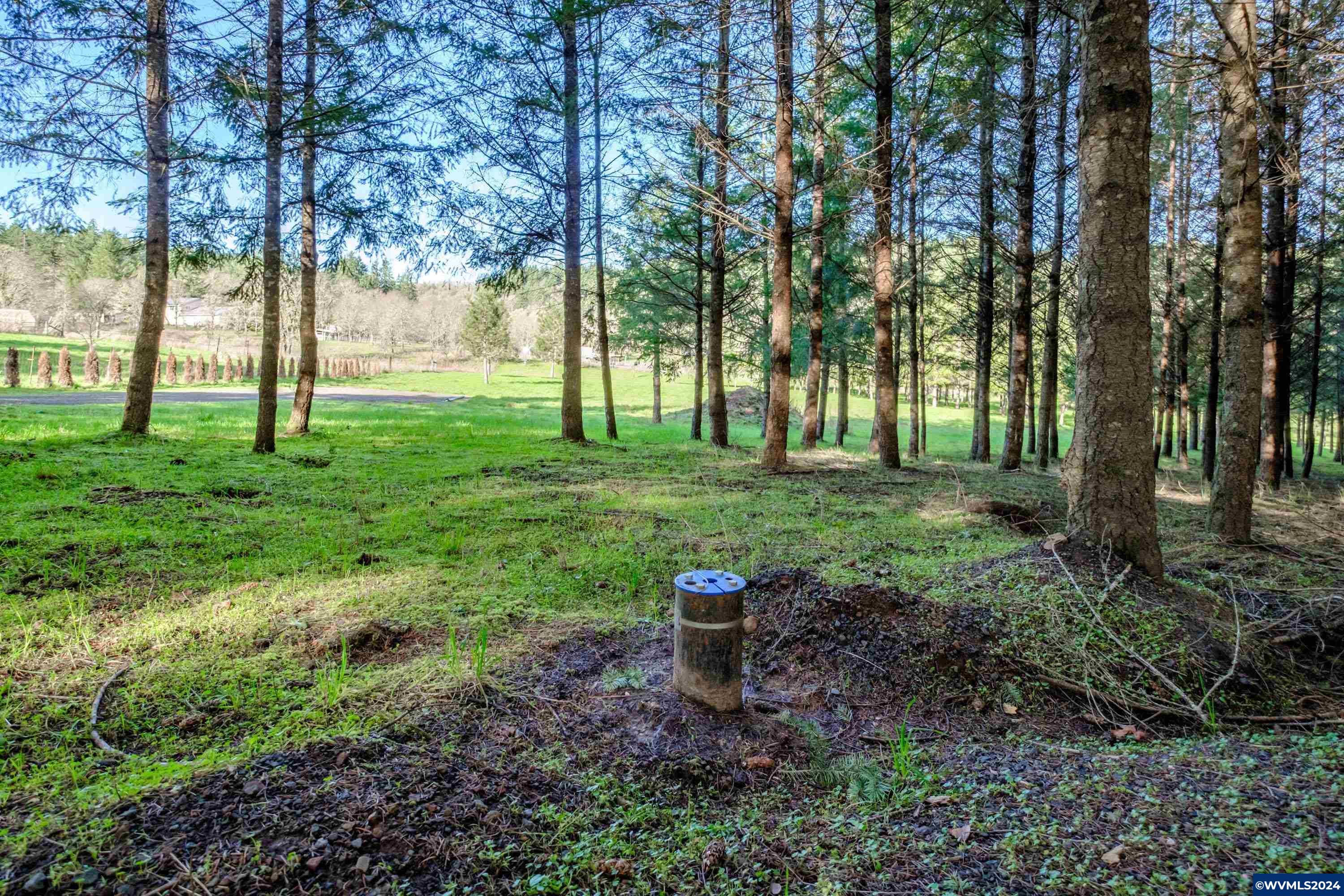 Buck Hill Lane Lebanon, OR 97355 - Photo 22 of 31