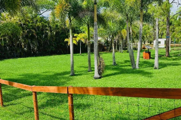 a view of a park with large trees