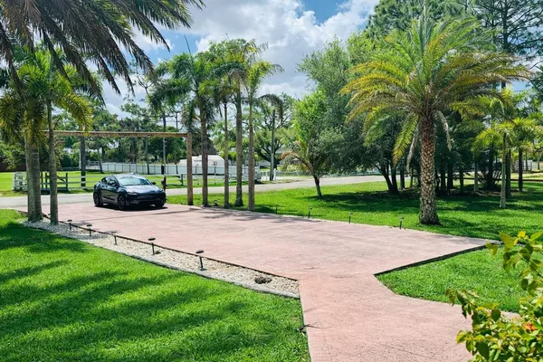 a view of a park with bench and trees