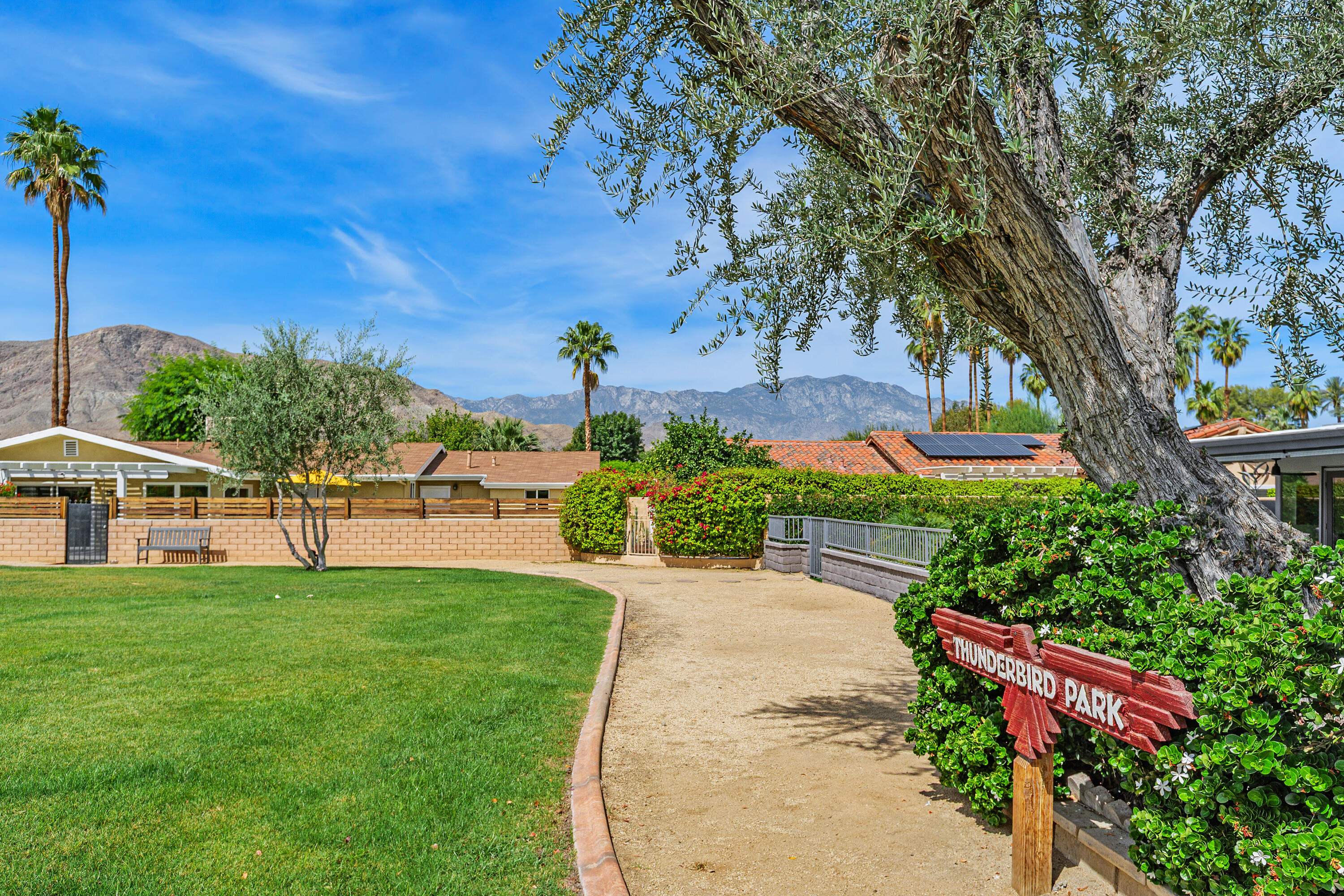 71305 Kempton Avenue Rancho Mirage, CA 92270 - Photo 54 of 58 a view of a garden with a bench and trees