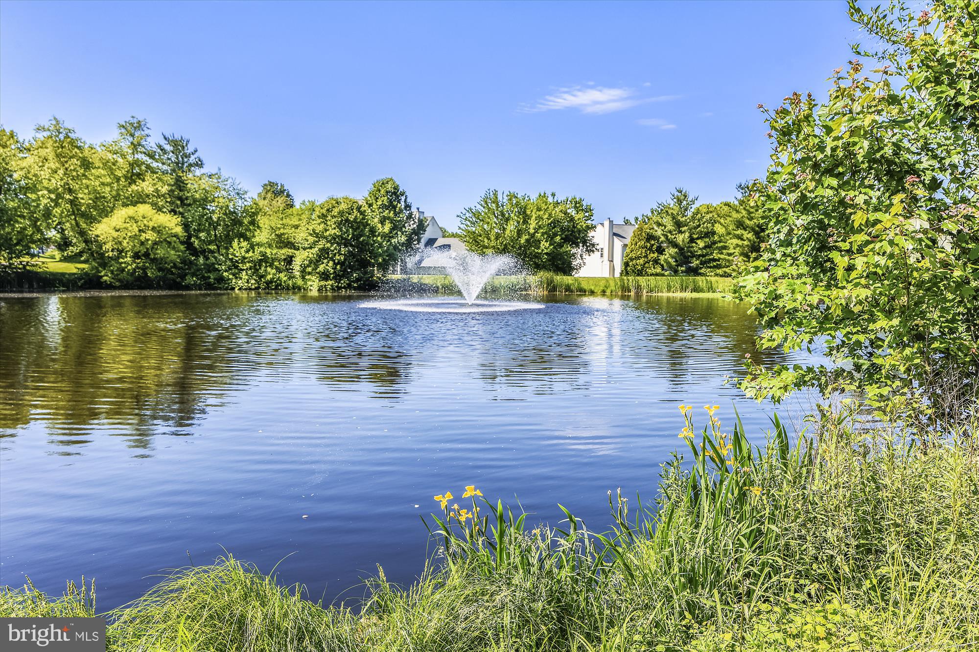 43484 Blacksmith Square Ashburn, VA 20147 - Photo 42 of 53 Ashburn Farm/Chokeberry Pond