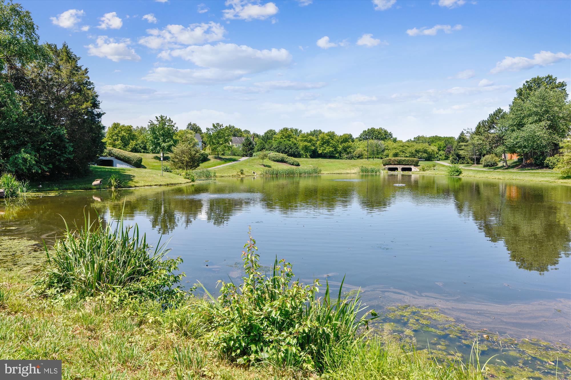 43484 Blacksmith Square Ashburn, VA 20147 - Photo 44 of 53 Chokeberry Pond