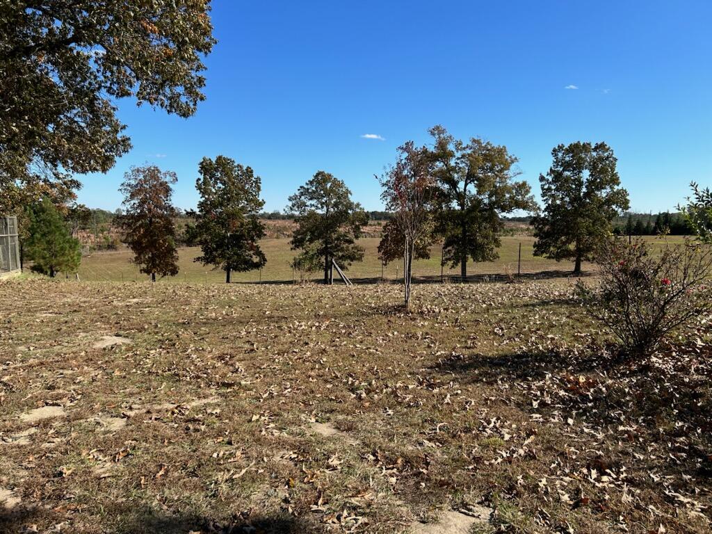 120 Junction City Road Mauk, GA 31058 - Photo 9 of 10 Gallery Image 9
