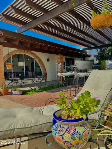 a view of a potted plant in a pot