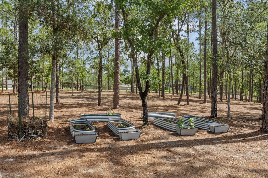 12929 Southwest 89th Street Dunnellon, FL 34432 - Photo 58 of 76