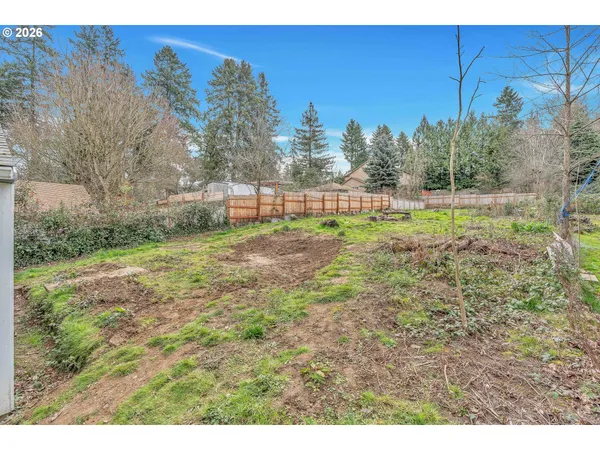 a view of a backyard with trees