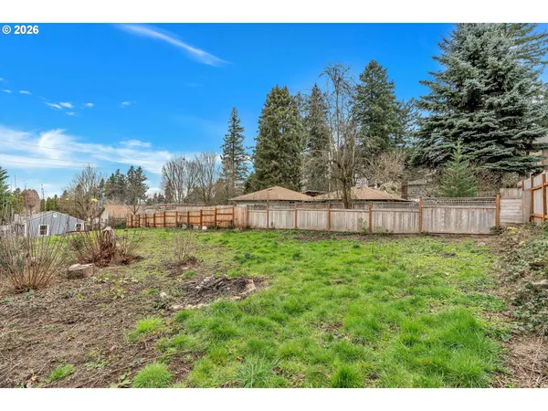 a view of a yard with an tree