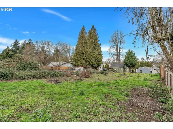 a view of a yard with a tree
