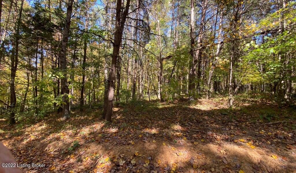 L40 Ted Logsdon Road Clarkson, KY 42726 - Photo 7 of 8 River View Fall180
