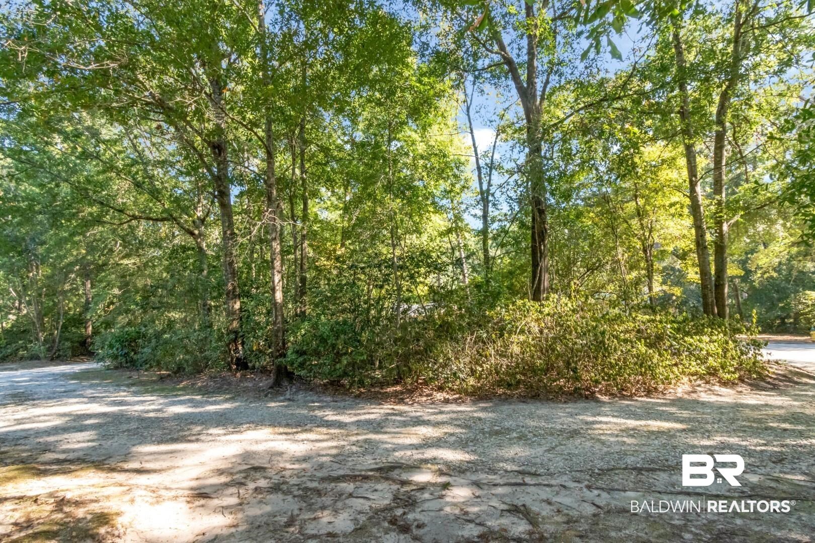 1321 Rainbow Drive West Mobile, AL 36693 - Photo 46 of 48 View of local wilderness