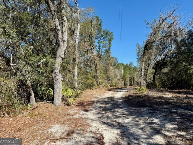 0 Live Oak Ln Road Pembroke, GA 31321 - Photo 1 of 6 a view of dirt yard with a large tree