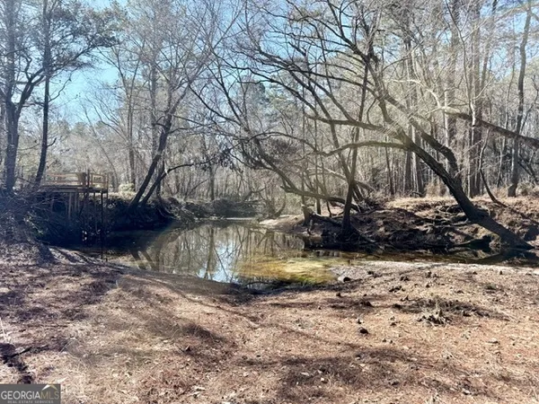 a view of a fire pit with large trees