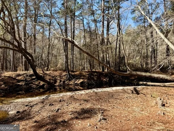 a view of a yard covered in snow