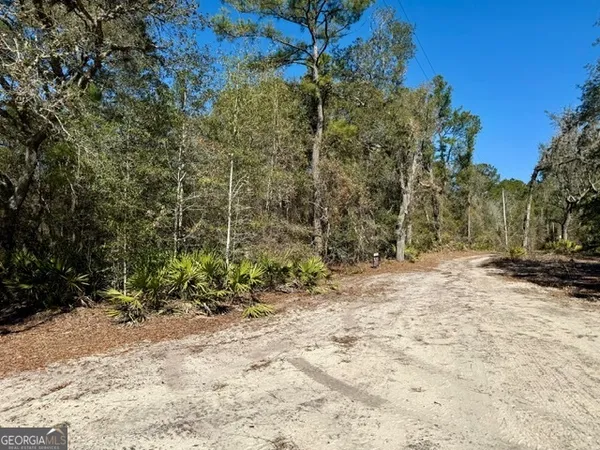a view of a yard with plants and trees