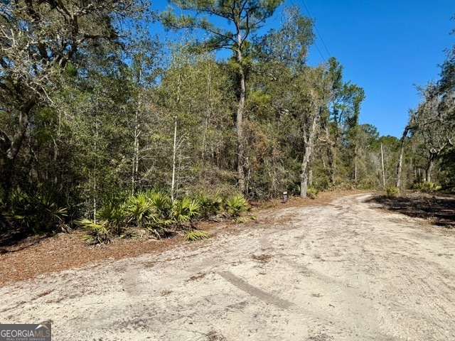 0 Live Oak Ln Road Pembroke, GA 31321 - Photo 6 of 6 a view of a yard with plants and trees