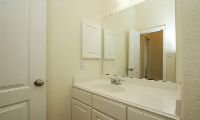 a bathroom with a sink and a mirror