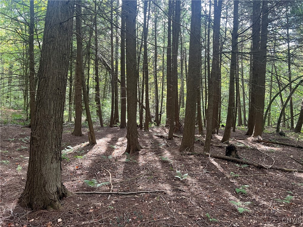 Stramba Road Cincinnatus, NY 13040 - Photo 14 of 16