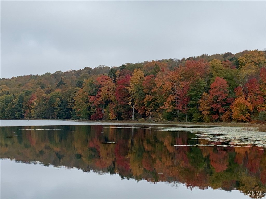 Stramba Road Cincinnatus, NY 13040 - Photo 16 of 22