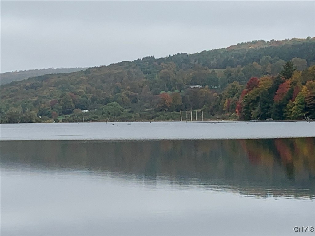 Stramba Road Cincinnatus, NY 13040 - Photo 21 of 22