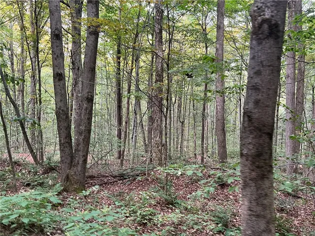 $125,000 | Stramba Road, Cincinnatus, NY 13040