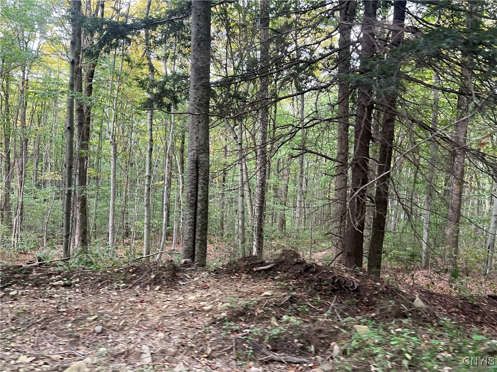 Stramba Road Cincinnatus, NY 13040 - Photo 8 of 22