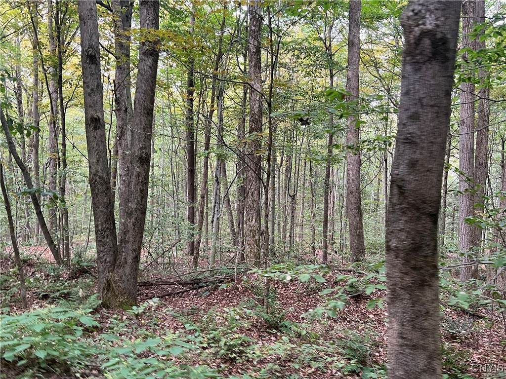 Stramba Road Cincinnatus, NY 13040 - Photo 9 of 22