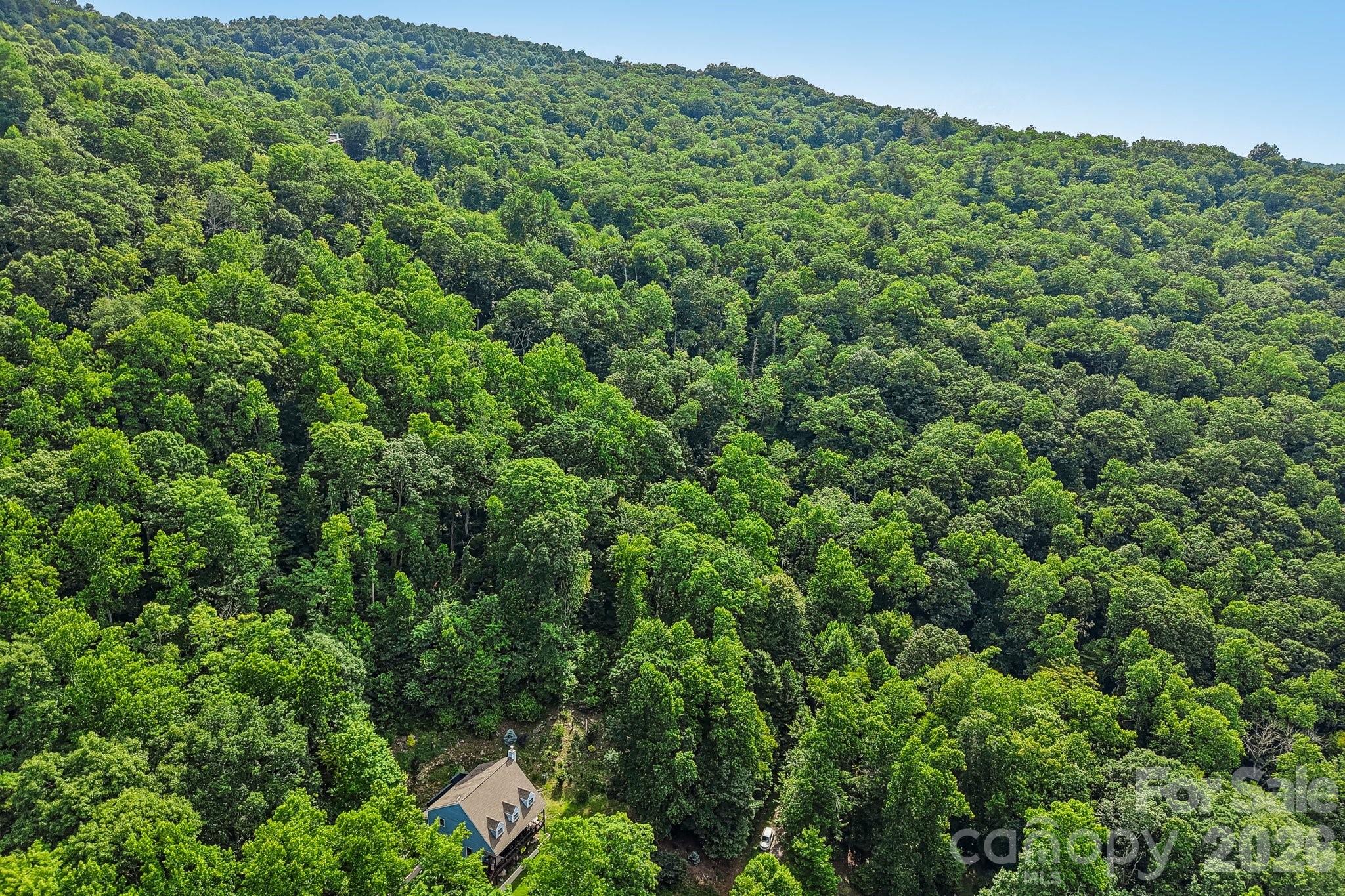 Tbd Indian Falls Road Asheville, NC 28803 - Photo 5 of 8