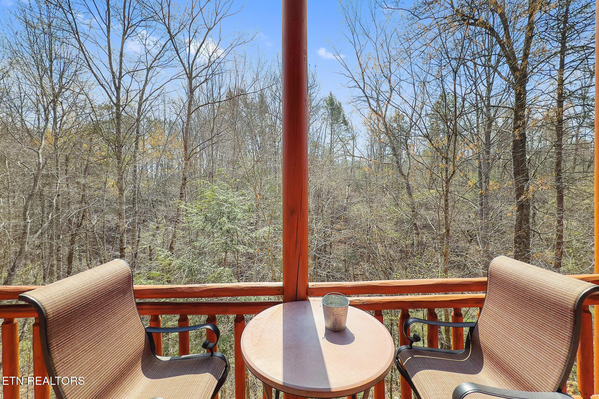 4359 Forest Ridge Way Pigeon Forge, TN 37863 - Photo 44 of 51 img_9487